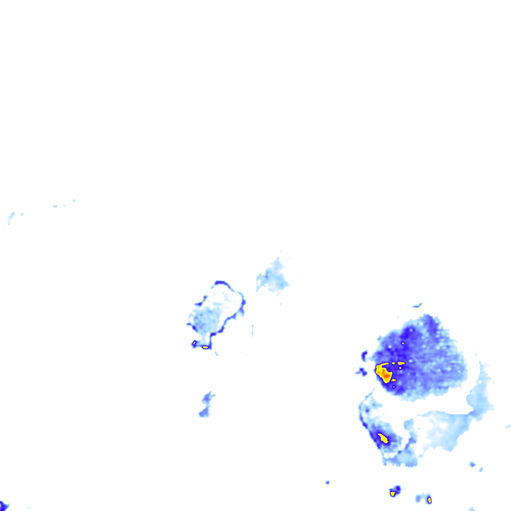 rainLayer