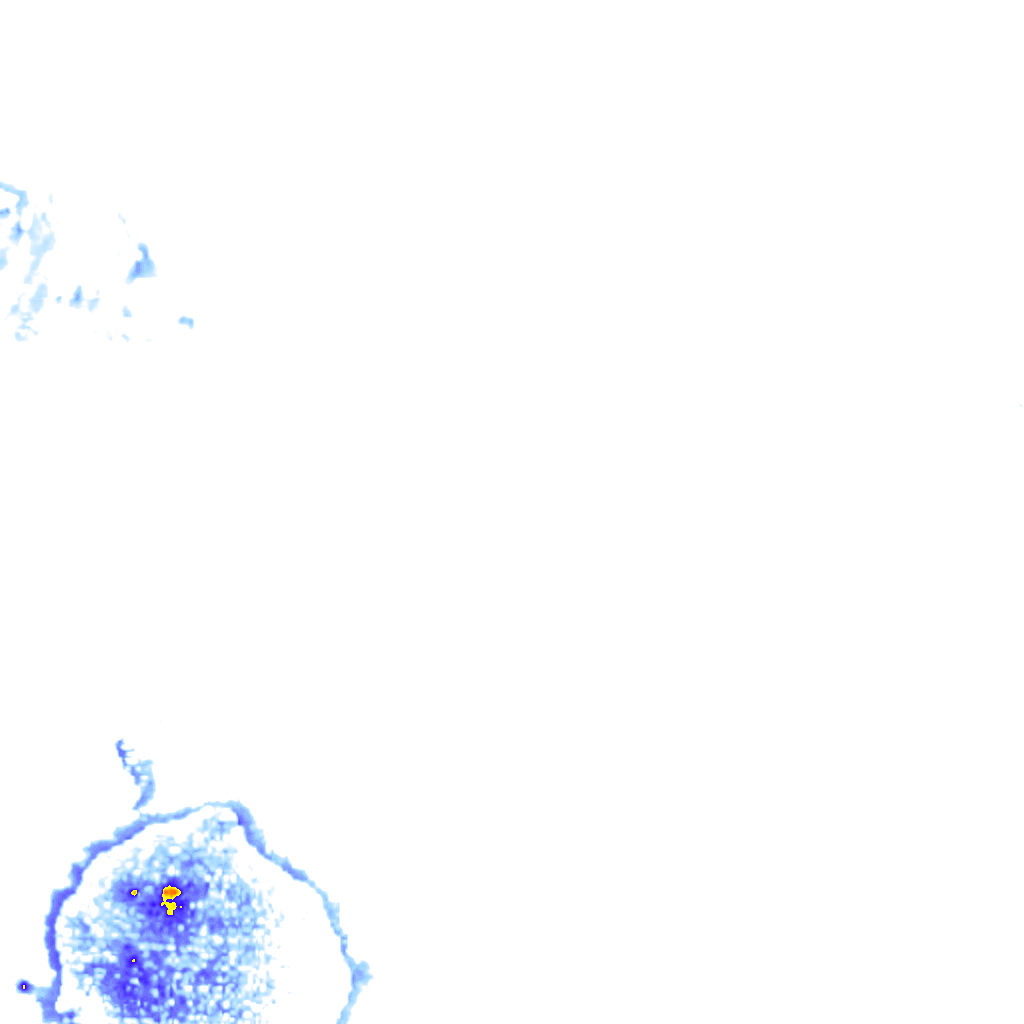 rainLayer