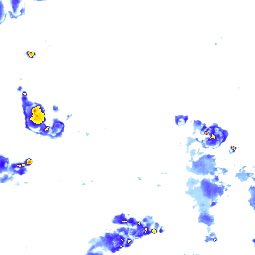 rainLayer