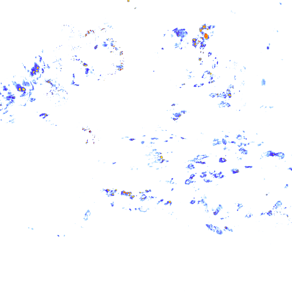 rainLayer