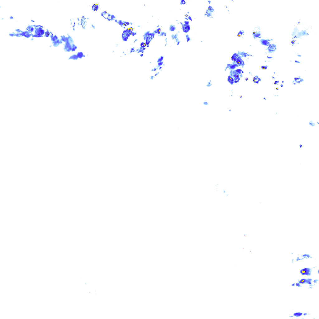 rainLayer