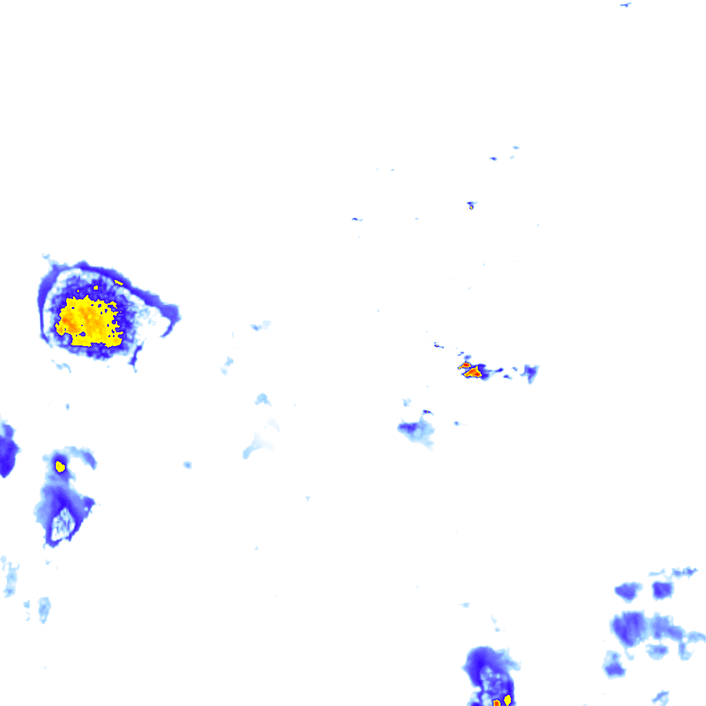 rainLayer