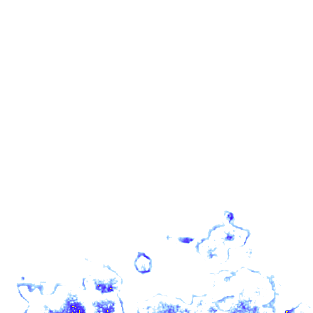 rainLayer