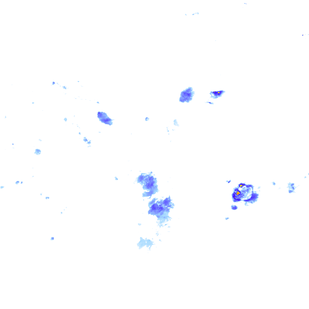 rainLayer
