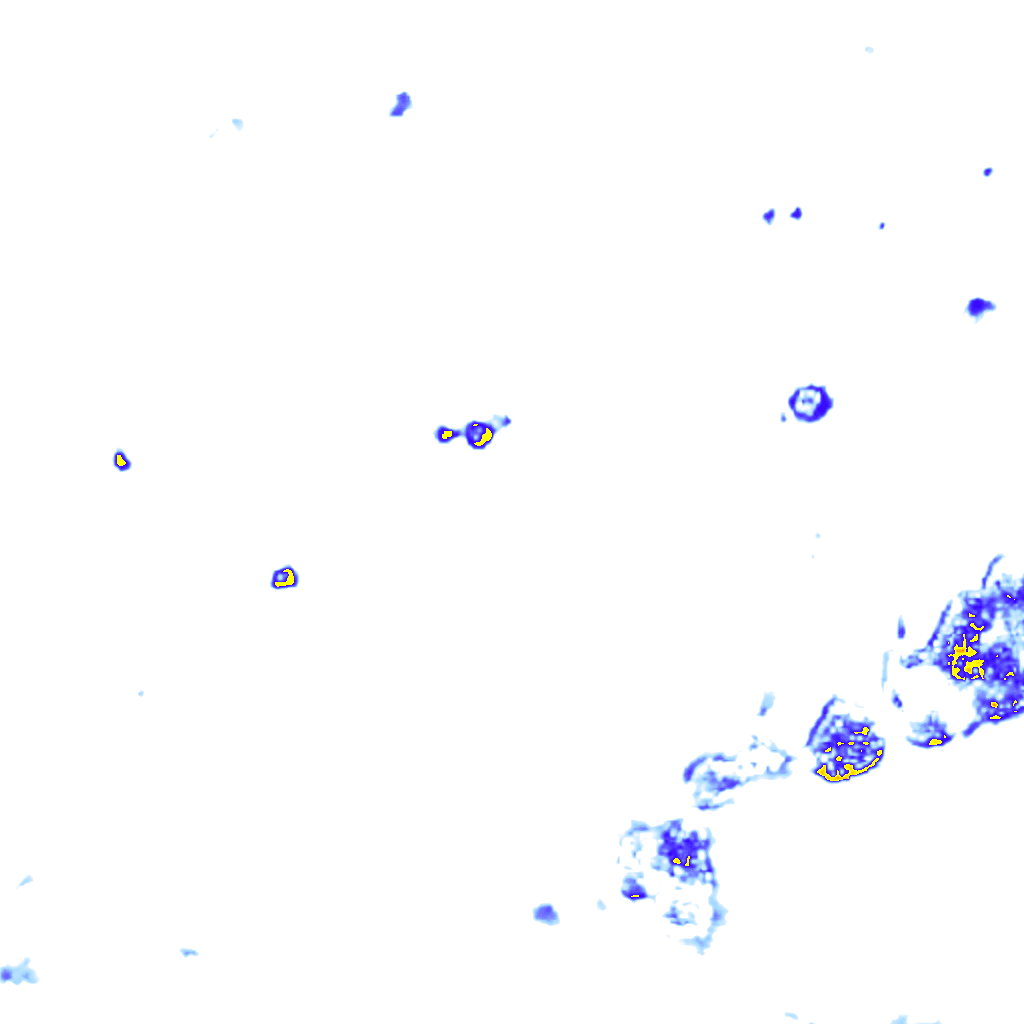 rainLayer