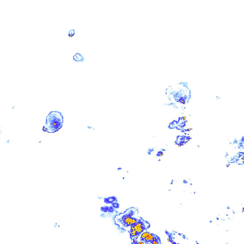 rainLayer