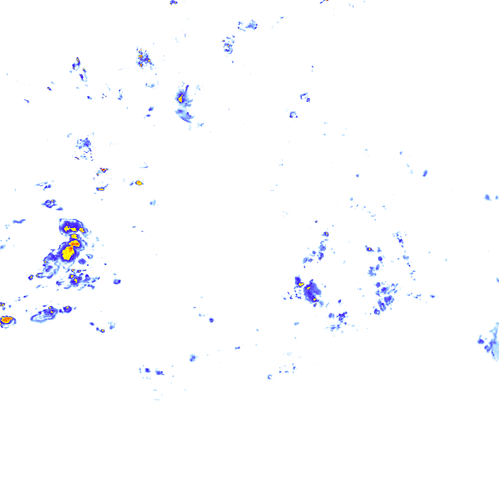 rainLayer