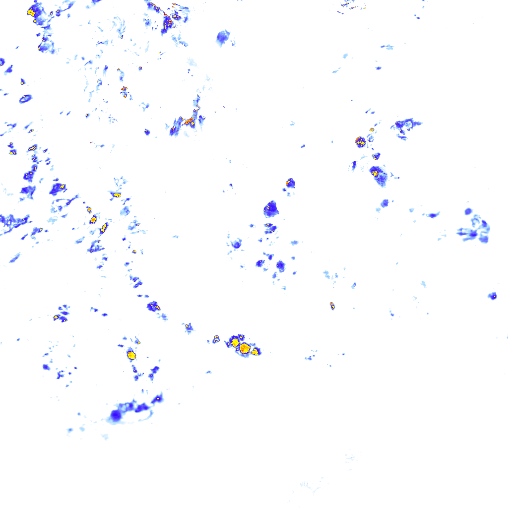 rainLayer