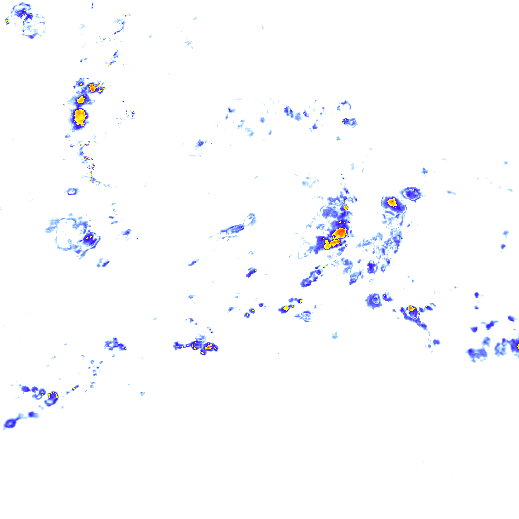 rainLayer