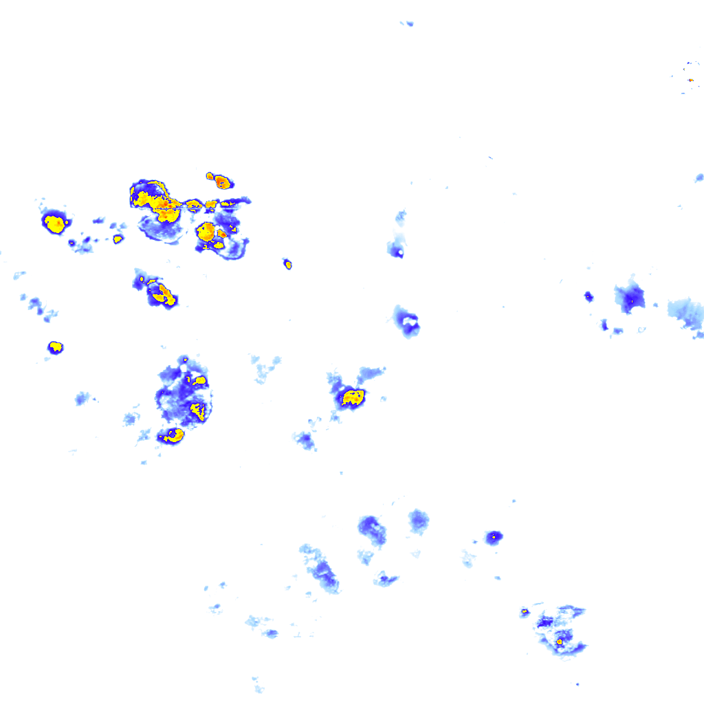 rainLayer
