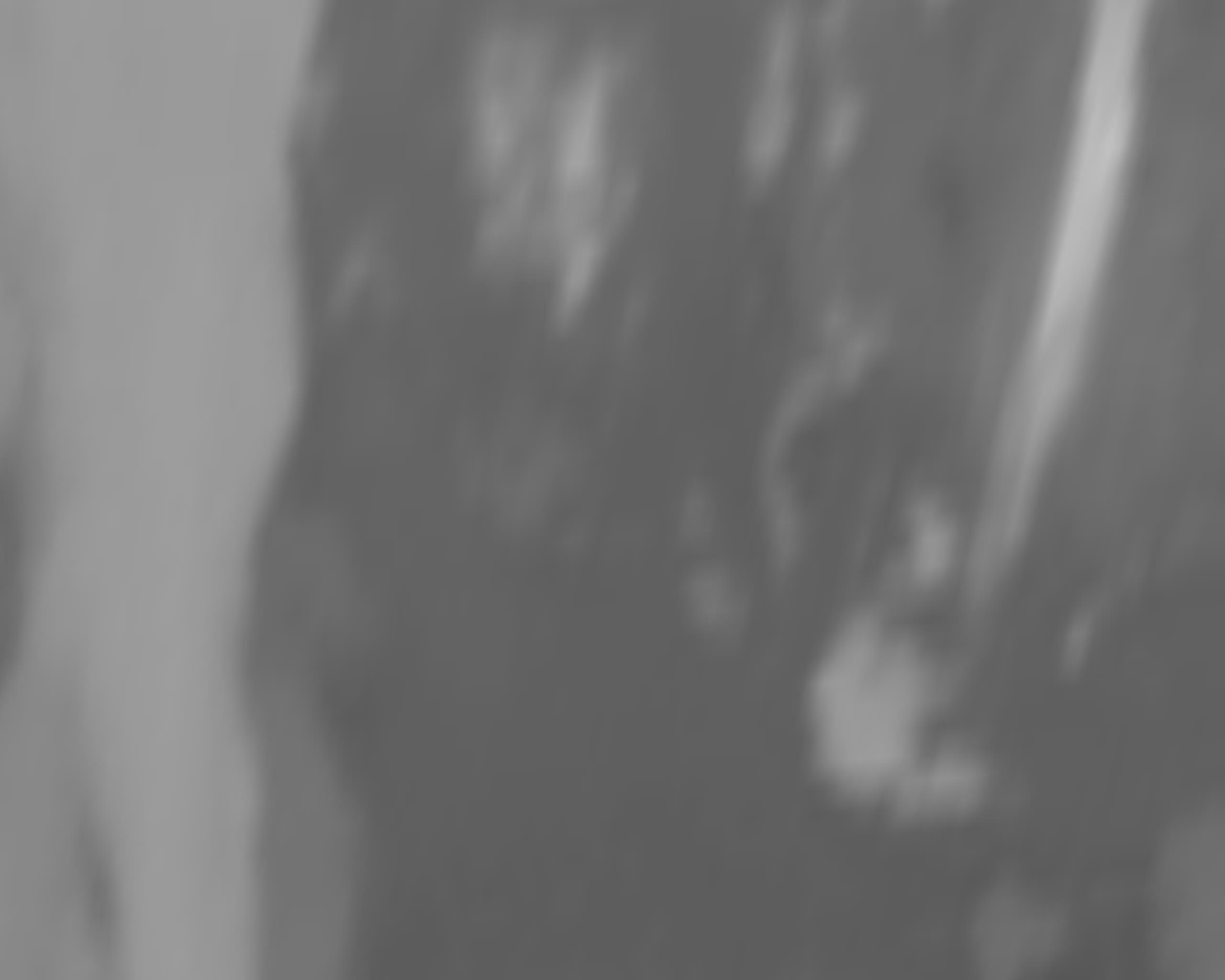 satLayer