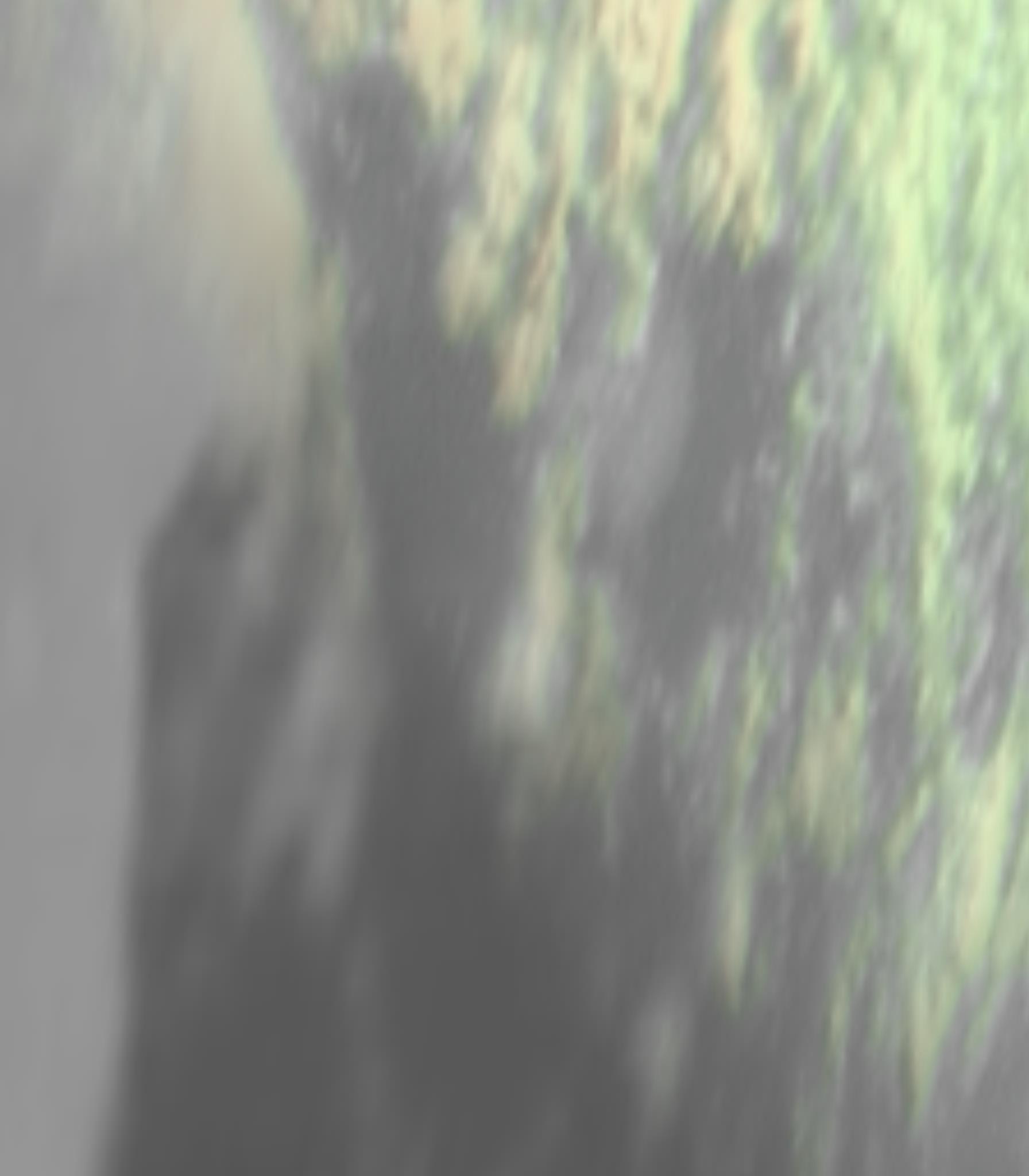 satLayer