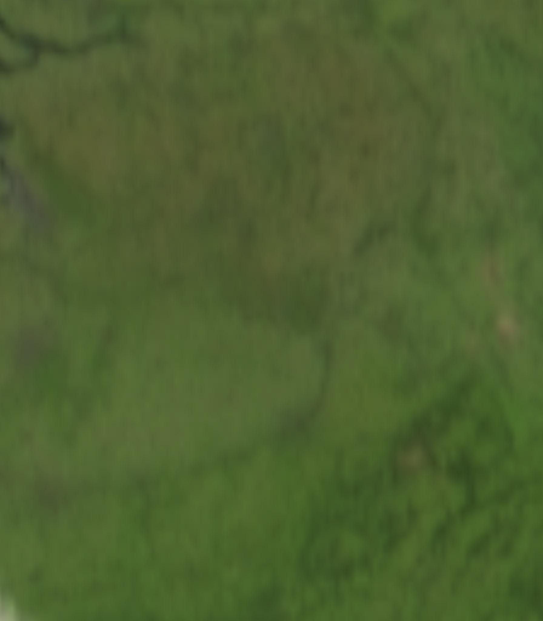 satLayer