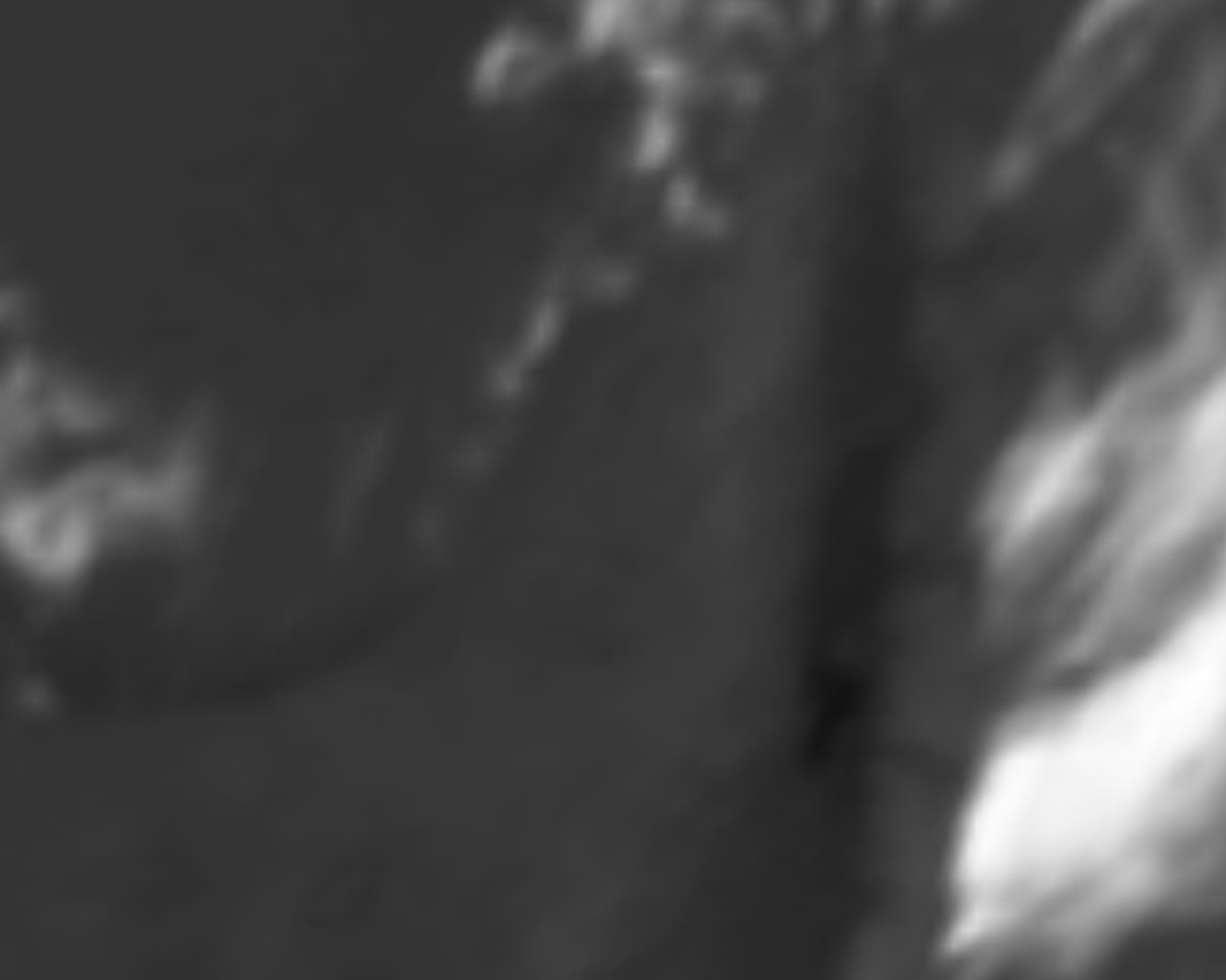 satLayer