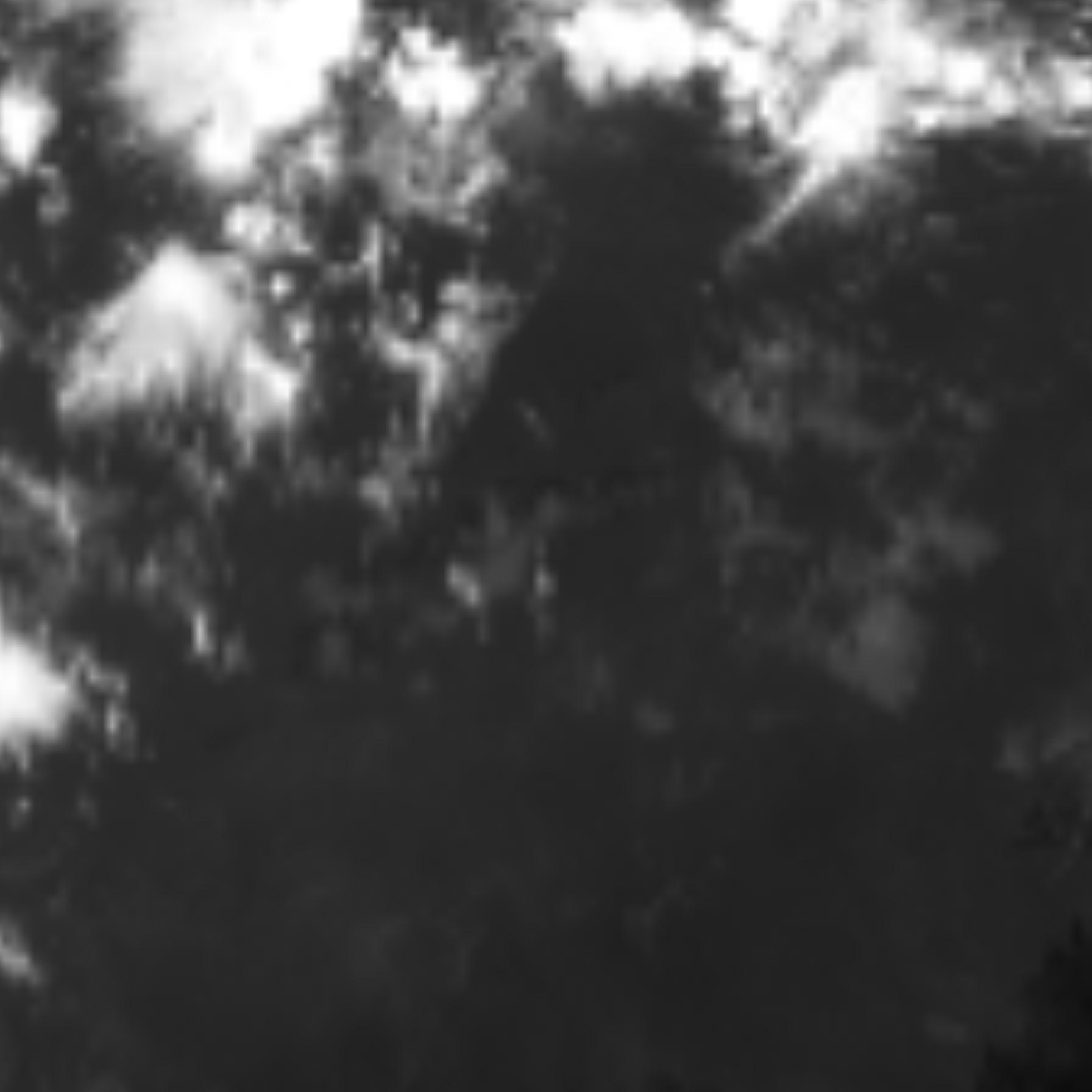 satLayer