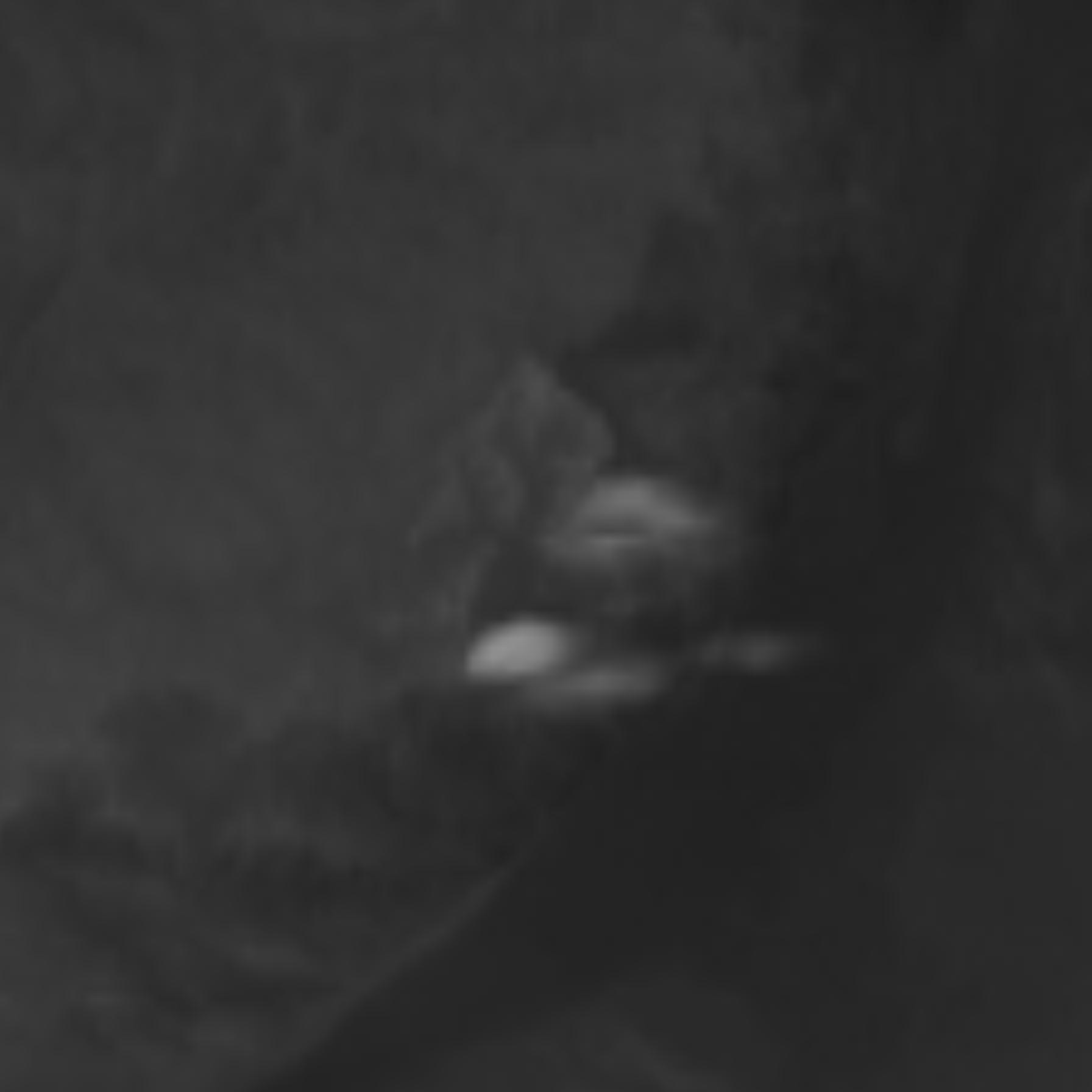 satLayer