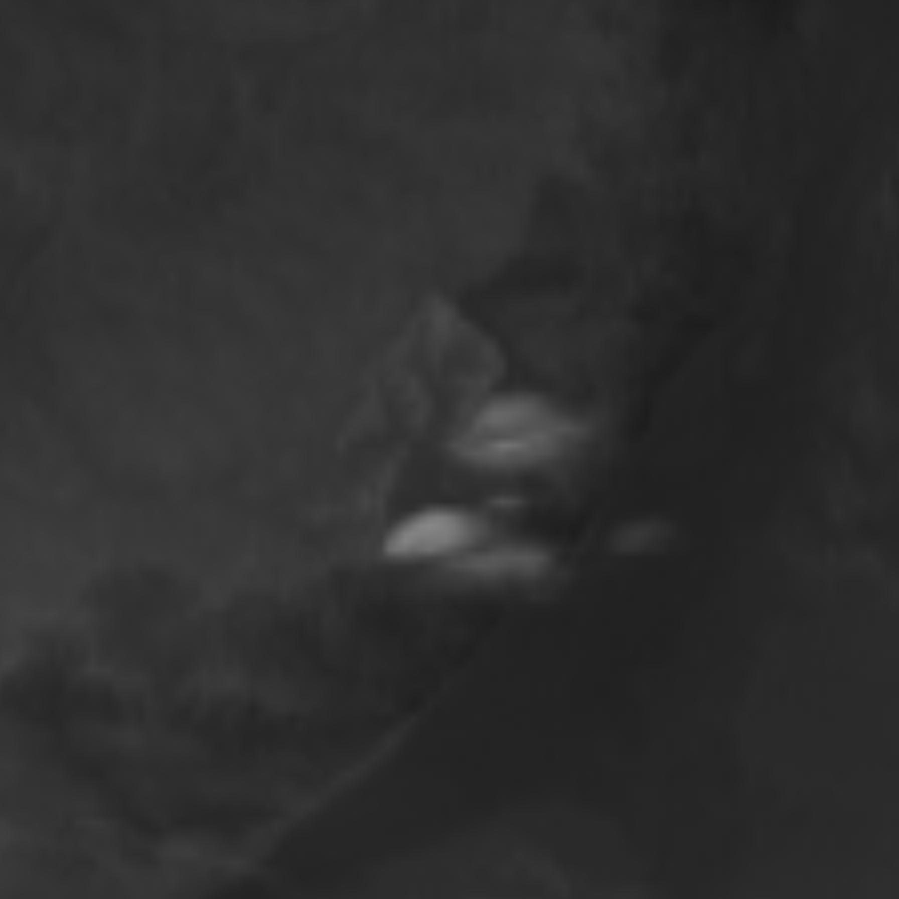 satLayer
