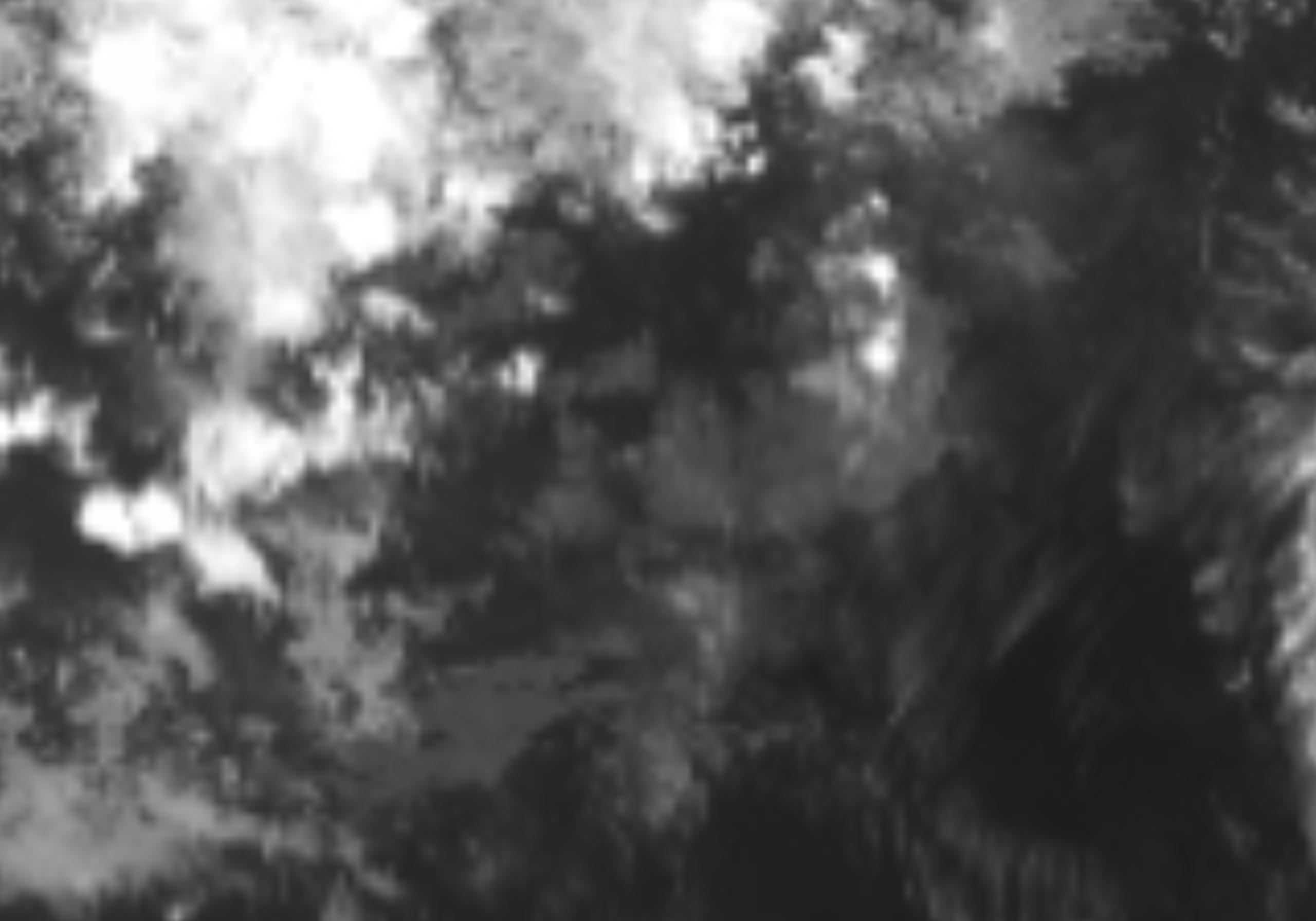 satLayer