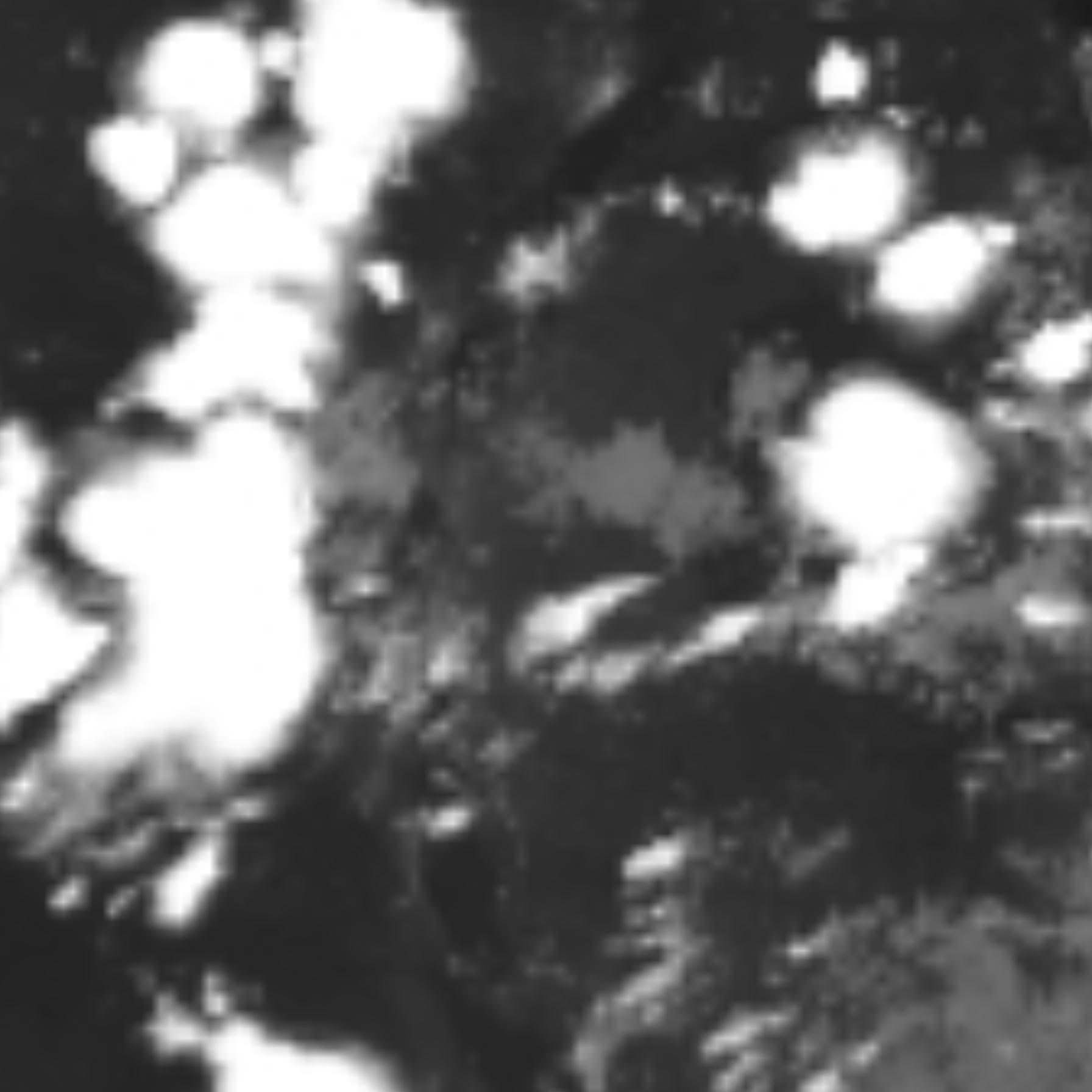 satLayer