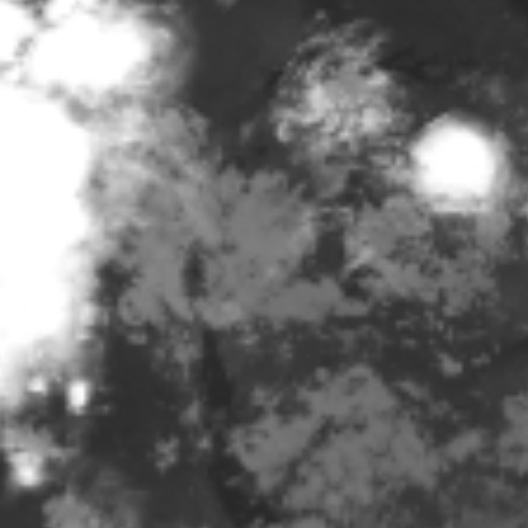 satLayer