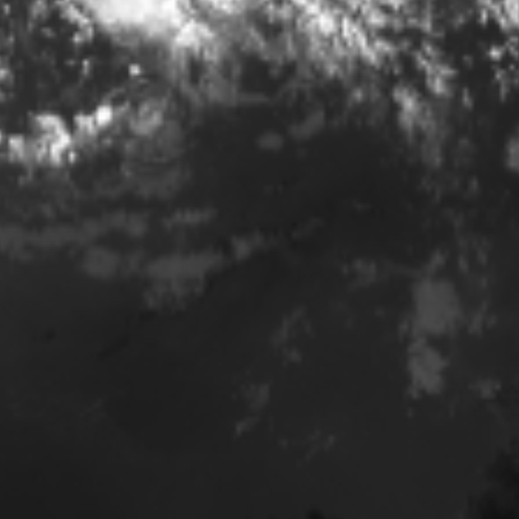 satLayer