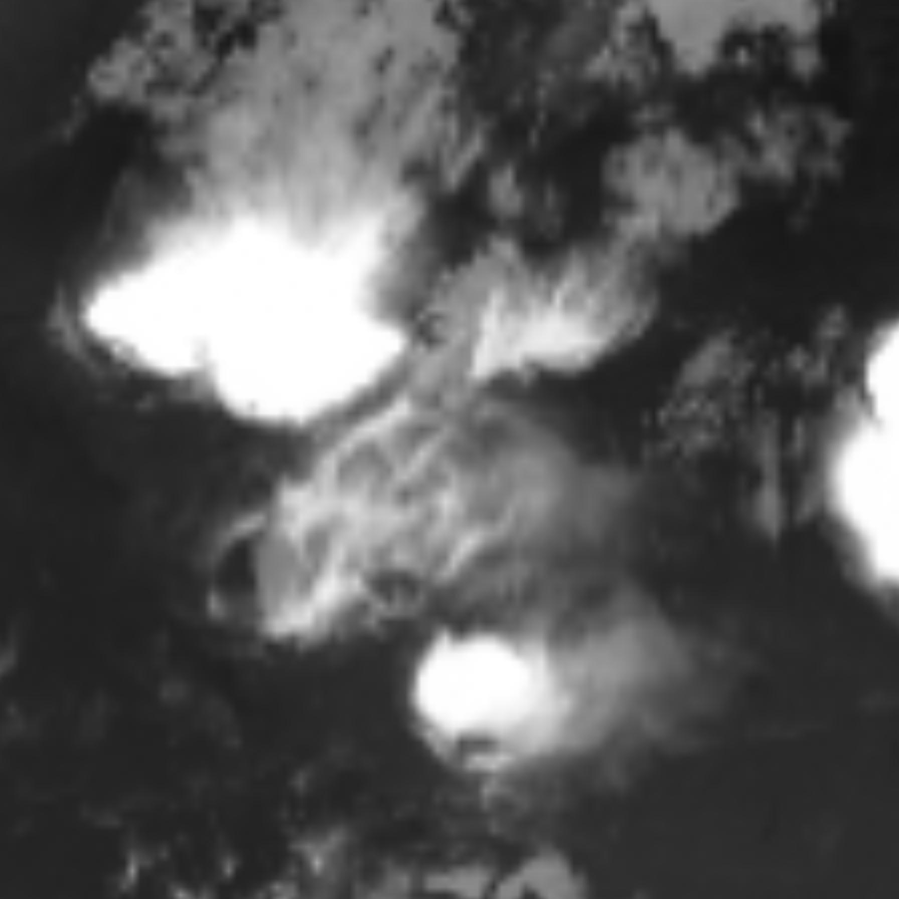 satLayer