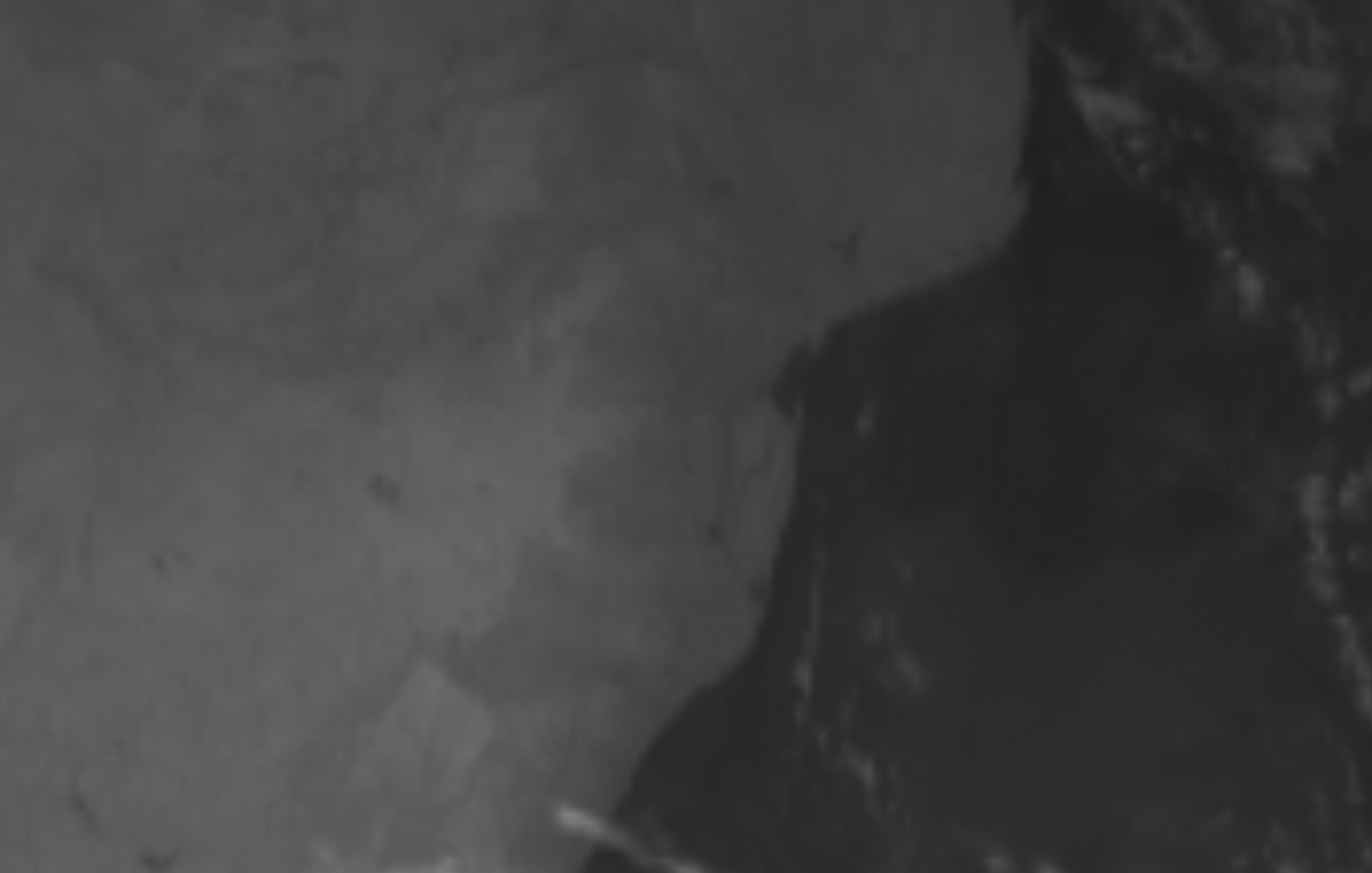 satLayer