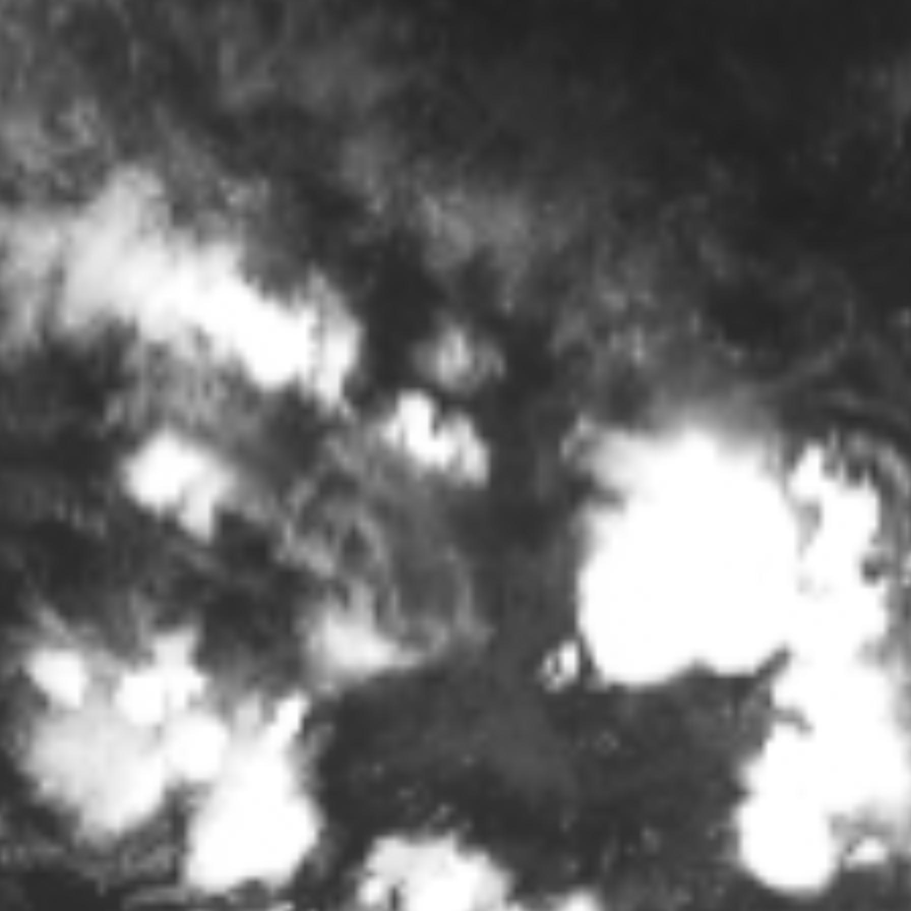 satLayer