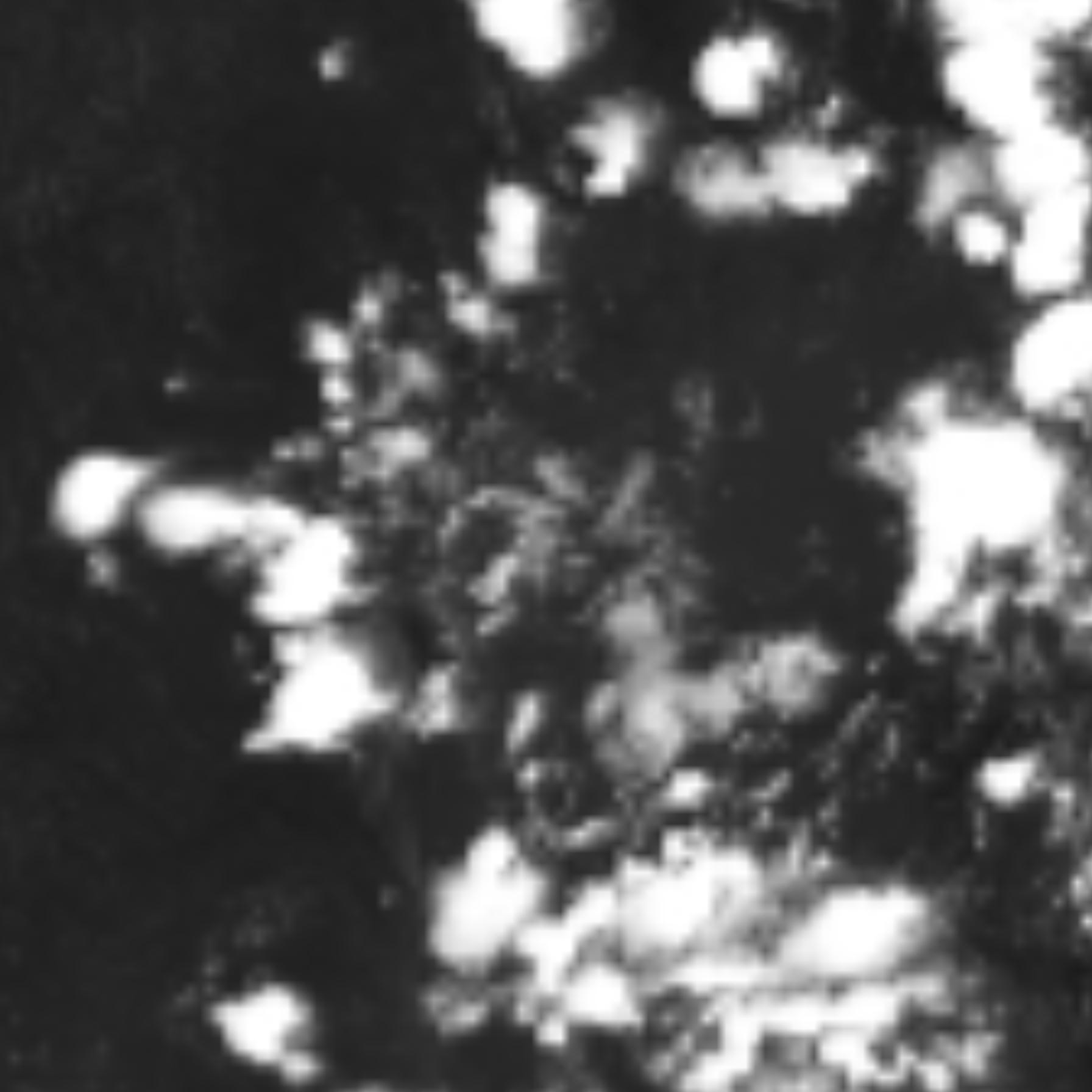 satLayer