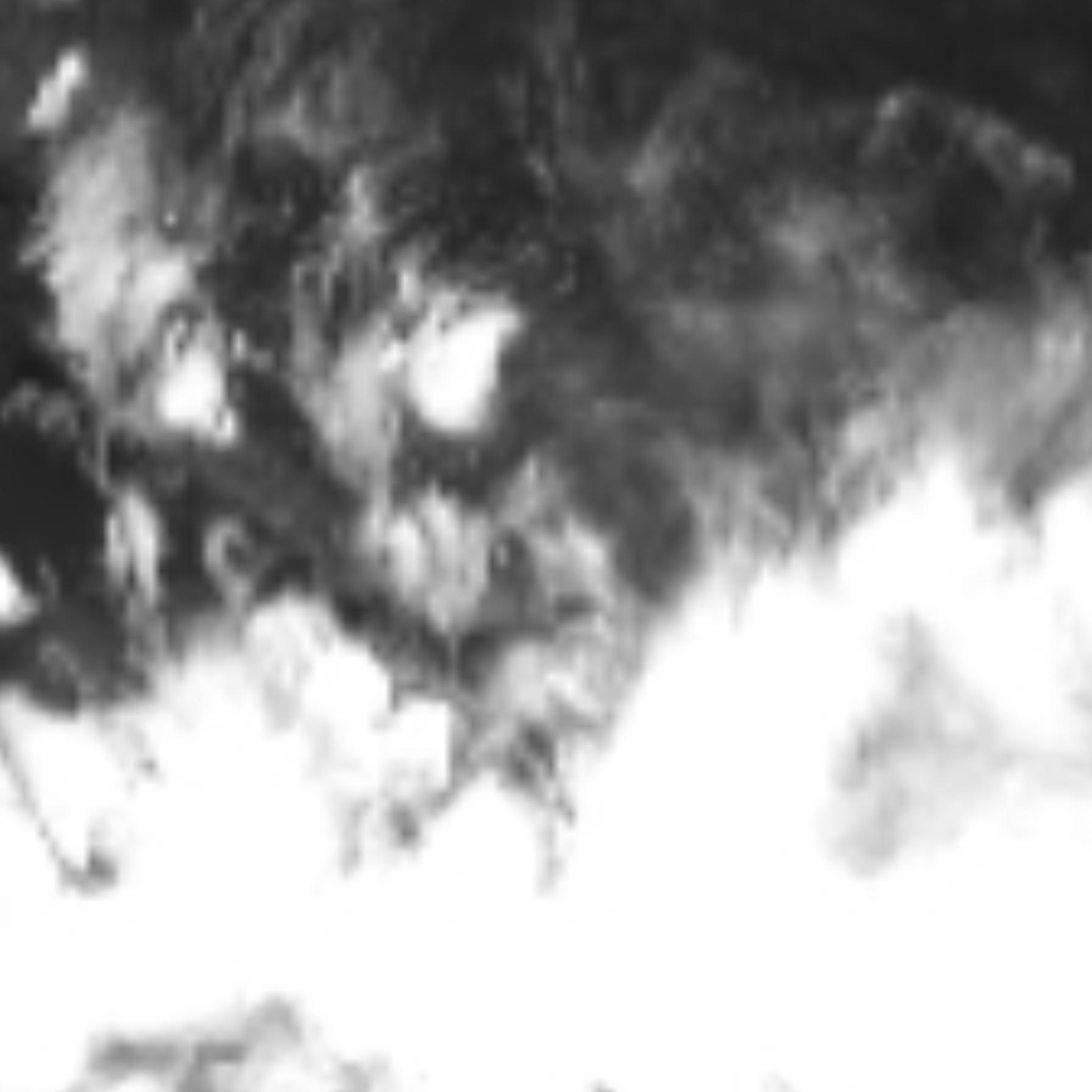 satLayer